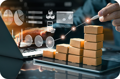 E-commerce Platforms