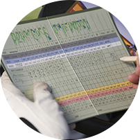 Dealer Performance Scorecards