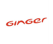 Ginger - Workplace customer